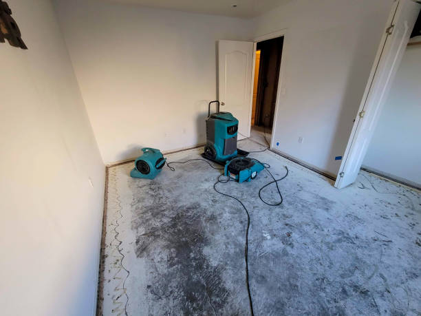 Water damage restoration mold remediation in Coconut Creek, FL