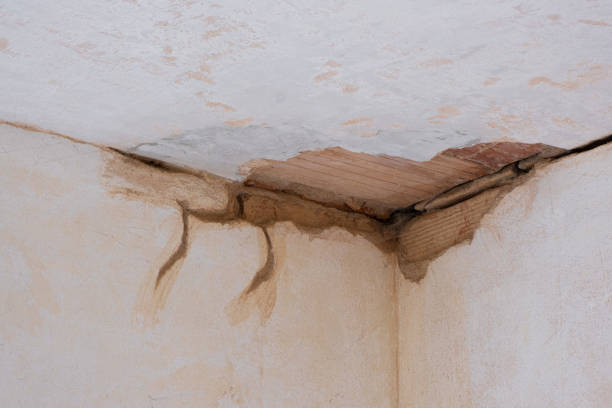 Best Water damage cleanup near me  in Coconut Creek, FL