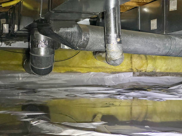 Best Mold removal after water damage  in Coconut Creek, FL